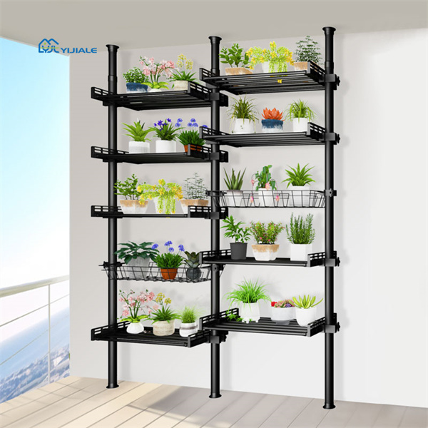 Destaca tus plantas favoritas con un soporte decorativo