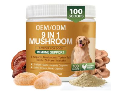 Do Low-Cost Bulk Dog Supplements Damage Your Brands Long-Term B2B Reputation?