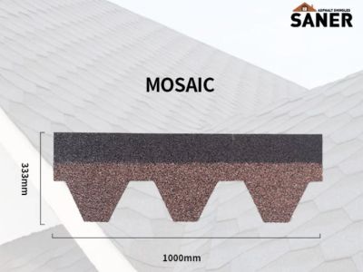 Asphalt Shingles Maintenance Guide for Roofing Contractors and Building Owners