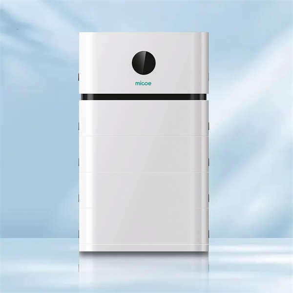Nutzen Sie Kosteneinsparungen durch Solarenergie und Batteriespeicher