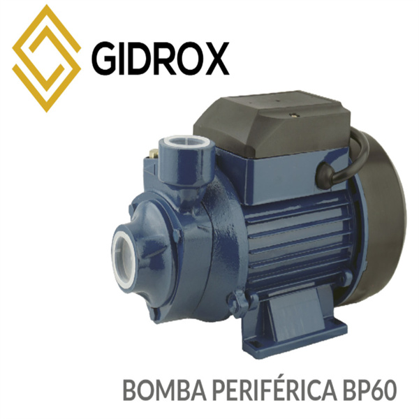 Discreet and easy-to-install peripheral pumps for home or commercial use