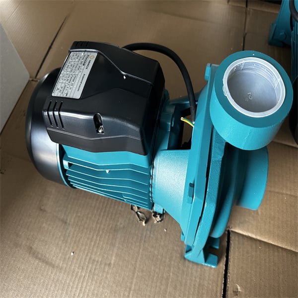 Achieve Optimal Water Distribution with Domestic Self-Priming Pumps