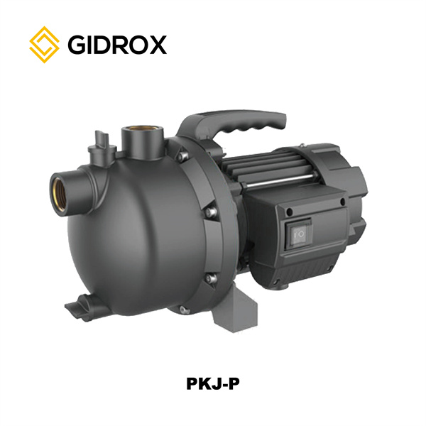 Enjoy Steady Water Flow and Pressure with a Home Water Pressure Pump