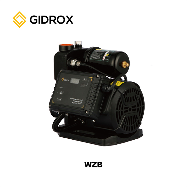 Pompes à eau Inverter pour usage domestique