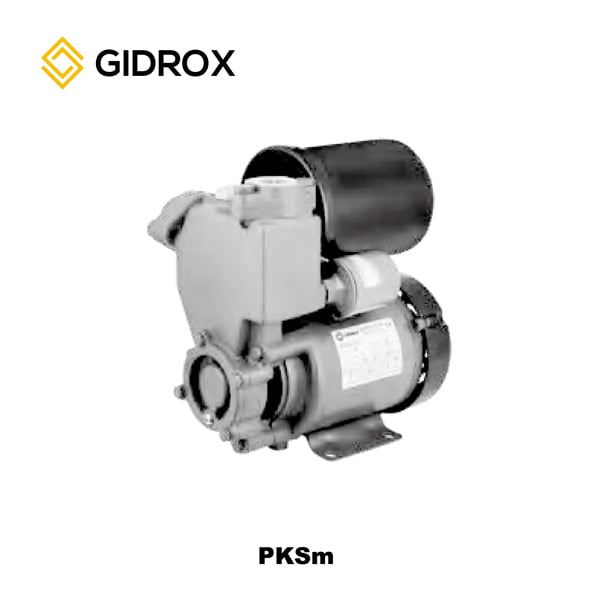 Easy to Install and Use Self-Priming Peripheral Pumps