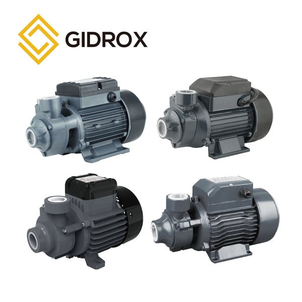 Maximizing water pressure with a peripheral pump system