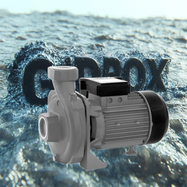Affordable Water Pump Option for Everyday Use