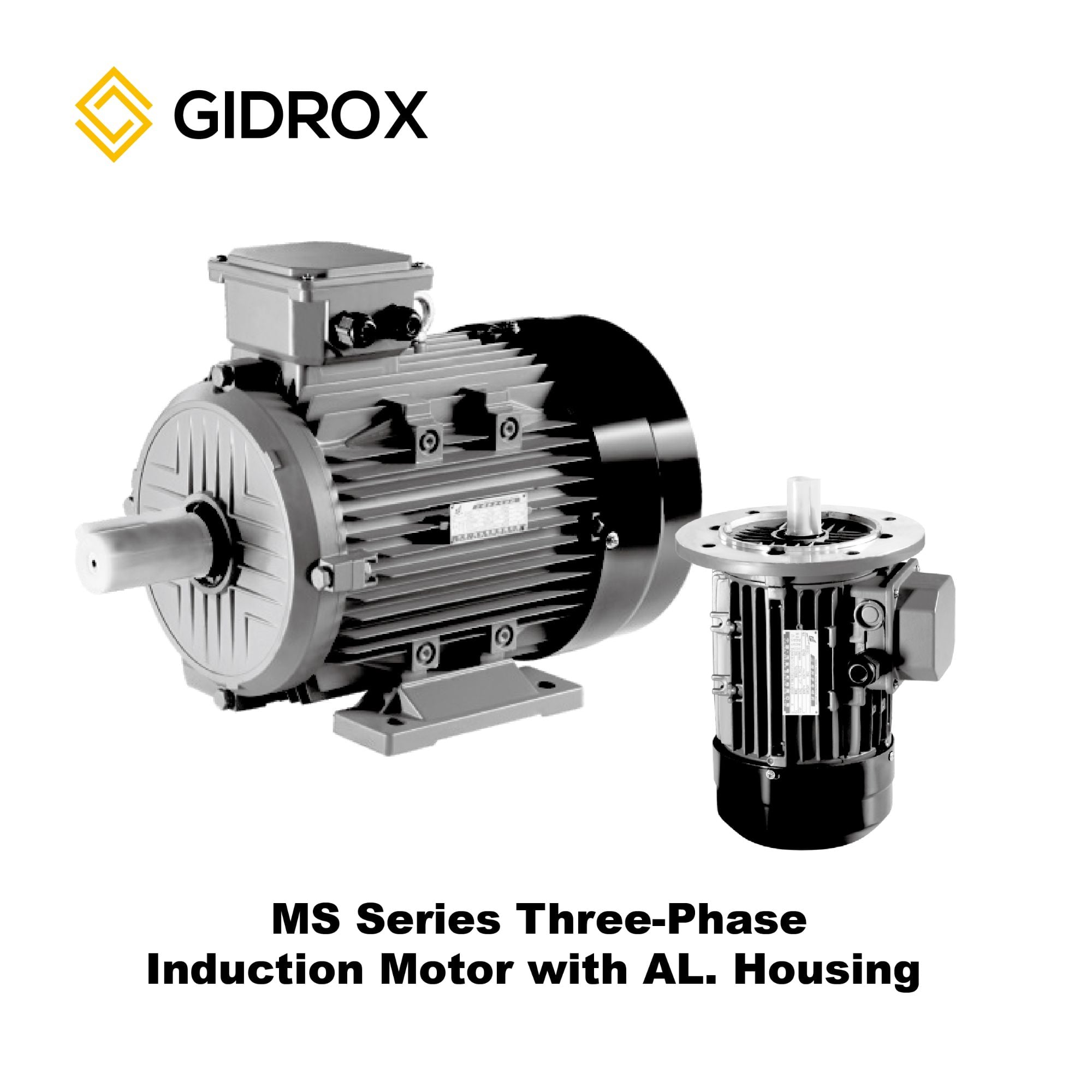 GIDROX MOTOR-MS სერია