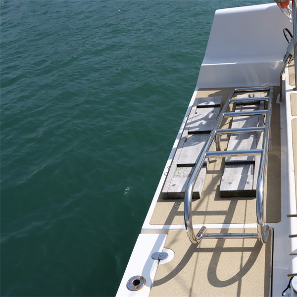 Importance of Learning to Climb a Vertical Ladder