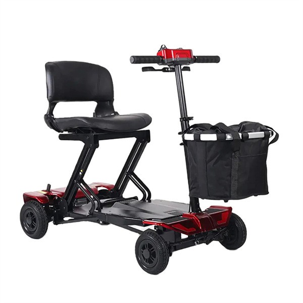 Viitorul Mobilității pentru Persoane cu Disabilități