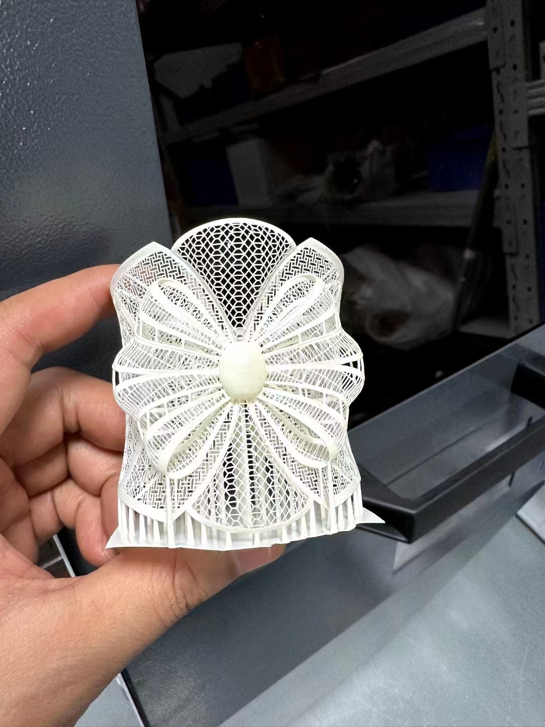 Unleash Your Creativity with the Versatility and Affordability of the Lion 3D Printer
