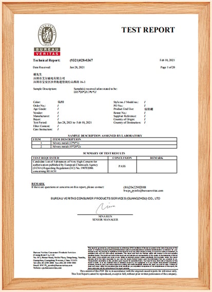 Transport-appraisal-report