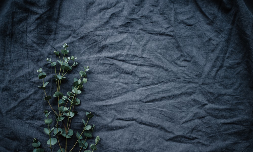 Abrasion Resistant Fabric