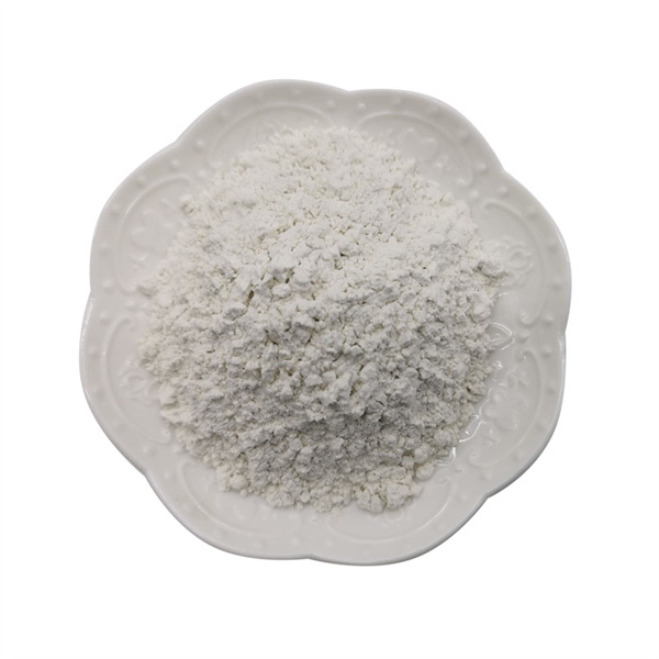 Innovazione nella Polvere di Terra di Piombo: