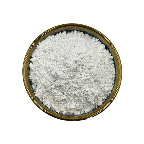 Gebruik van Kaolin Klei Make-up: