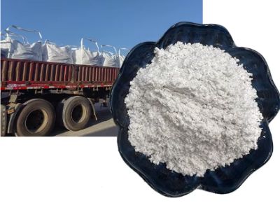 Warum ist Sepiolith ideal als Träger für Enzyme und Katalysatoren?