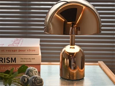 Adquisición en Guzhen: Aprovechando la experiencia de la capital china de la iluminación