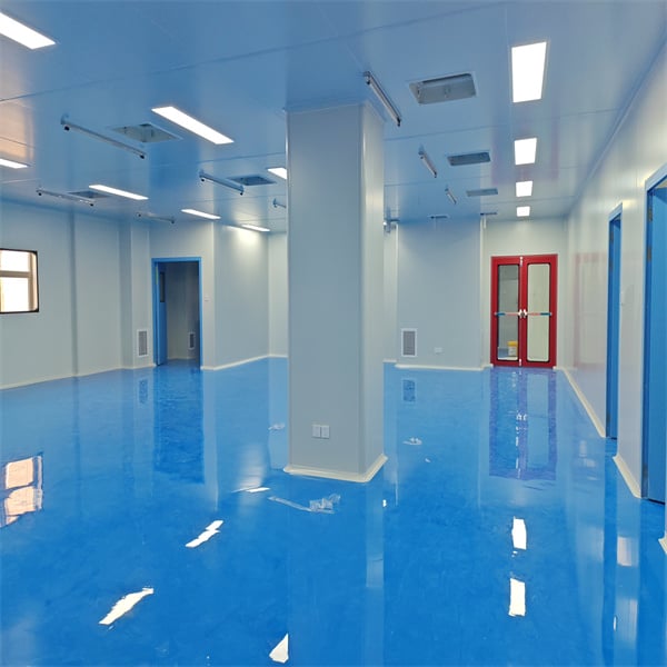 Maximizing Efficiency and Safety with Clean Room Design Strategies