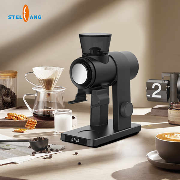 The Best Budget Grinders for Your Daily Cup of Joe