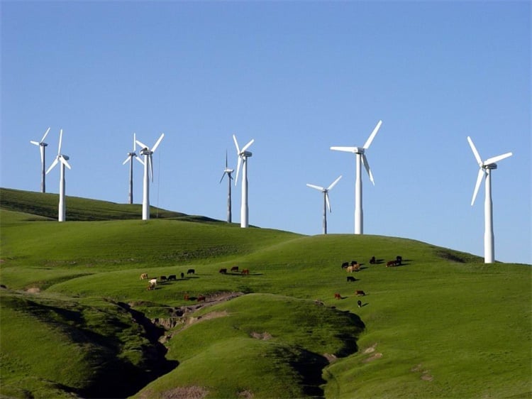 Poland's Complete 10KW-30KW Eolic Generator Single and Three Phase Turbine Wind Power for Farm Home Use CE Certified factory