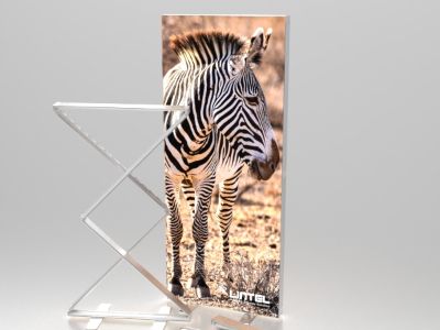 Faltbare SEG-Leuchtkassette: Neue Display-Produkte und Lösungen