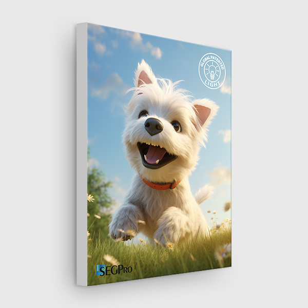 Elevate Your Advertising Game with Frameless LED Light Box Displays