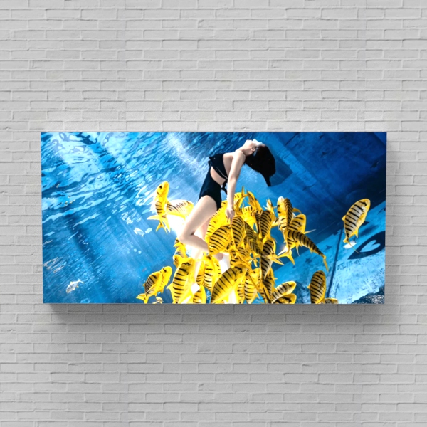 Perfect for retail stores, trade shows, and events