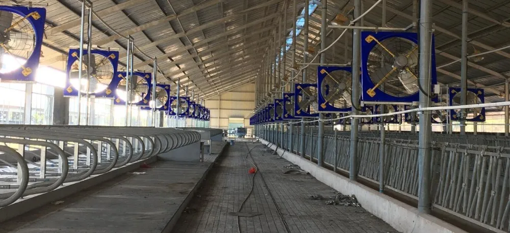 Control System Livestock Cooling Ventilation Fans For Poultry Farm Poultry Plastic Exhaust Fan details