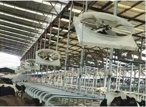 Cyclone dairy farm cow fans 72 inch blowing cooling exhaust fan for pig farm hoggery ventilators fan factory