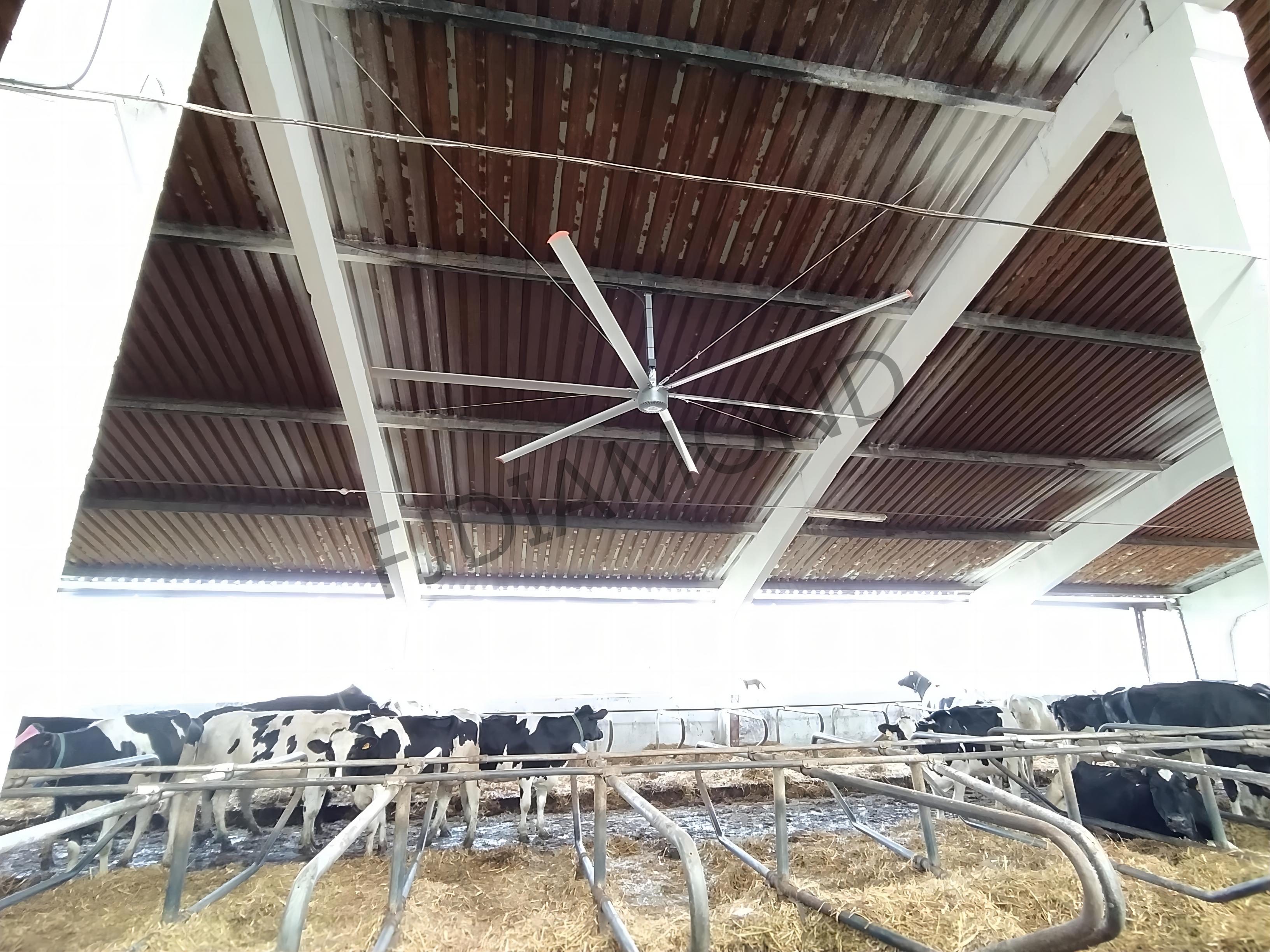 Church fan  24ft HVLS 7.3m Electric Large Industrial Ceiling Fans big Ventilation fan factory