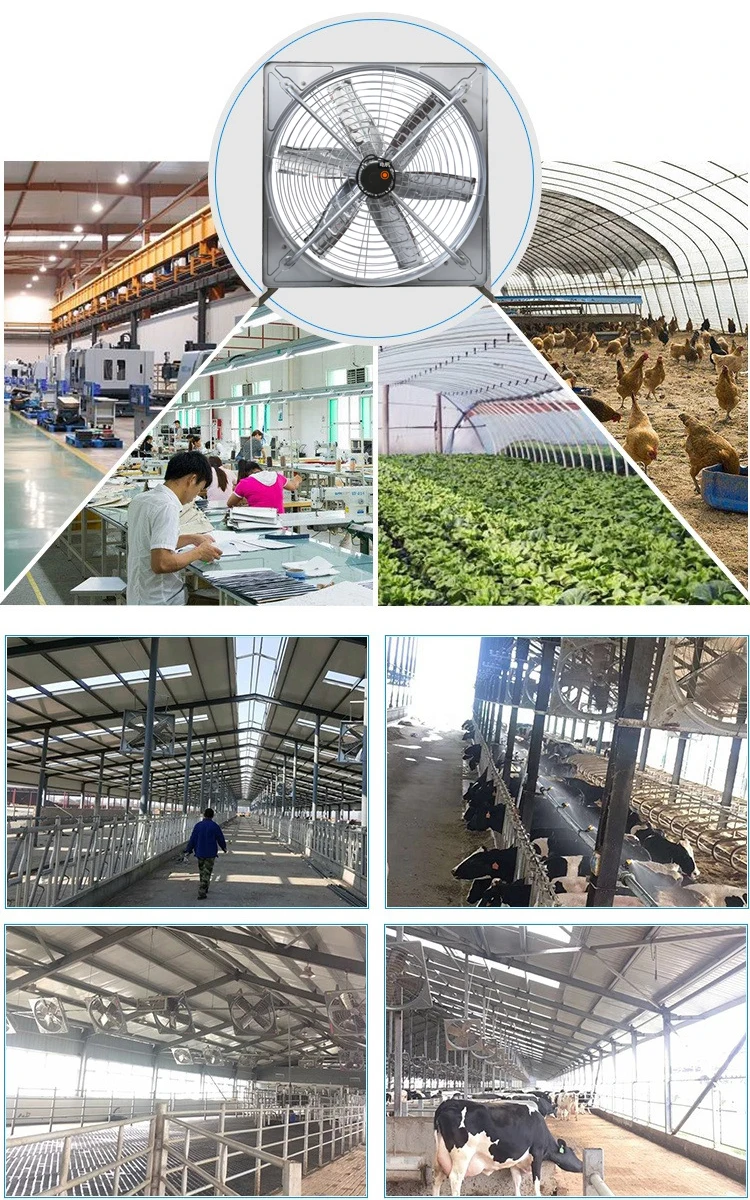 Control System Livestock Cooling Ventilation Fans For Poultry Farm Poultry Plastic Exhaust Fan details