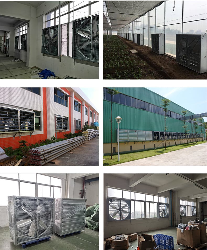 1530mm Cow shed galvanized industrial stainless steel wall fan ventilation exhaust fan factory