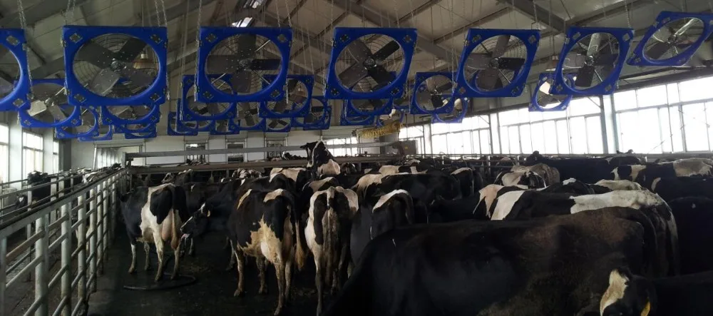 Control System Livestock Cooling Ventilation Fans For Poultry Farm Poultry Plastic Exhaust Fan manufacture