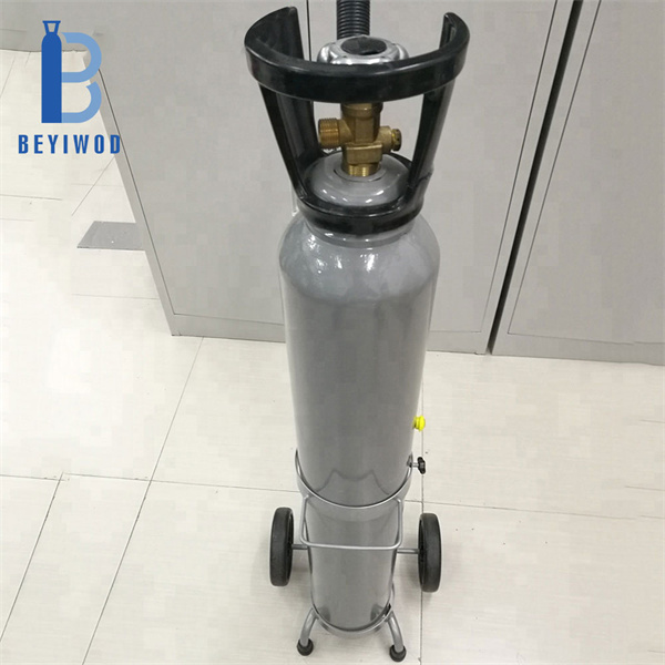 5lb CO2 Cylindr pro Carbonation Anywhere Drink