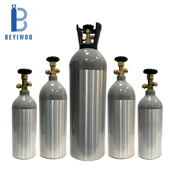 Portable and Convenient 10 lb CO2 Tank for On-the-Go Needs