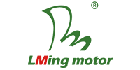 Wuxi Lingming Electric Drive Technology Co.,Ltd.