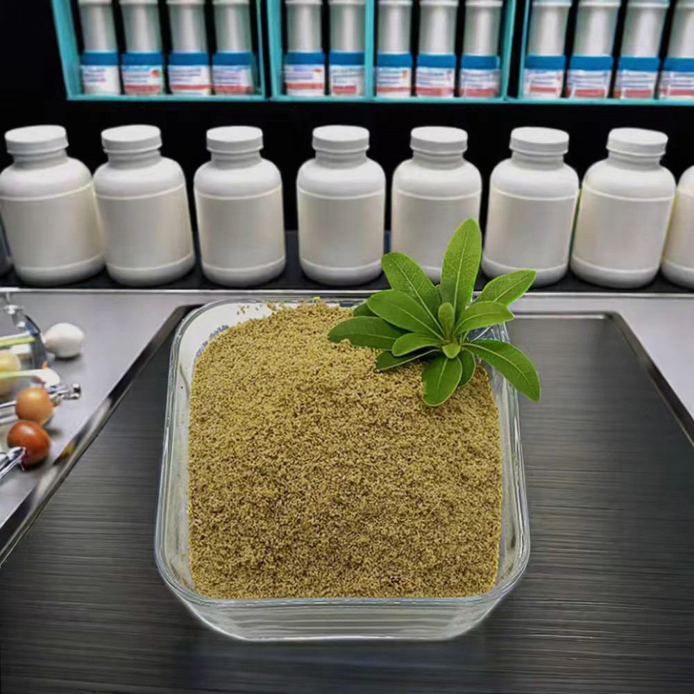 বেটেইন সাপ্লিমেন্টের সাহায্যে আপনার GERD চিকিৎসা বিপ্লবী করুন