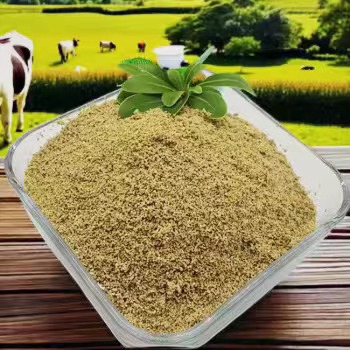 Wprowadzanie betainy do diety w celu poprawy wydajności sportowej
