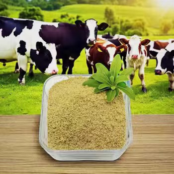 Natura Rimedo por Mallevigi Acidan Refluon