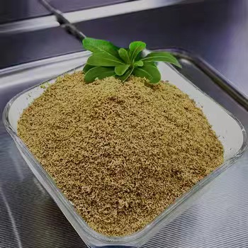 Betaine Anhidrous Tozunun Güçlü Etkileriyle Egzersizlerinizden Daha Fazla Faydalanın!