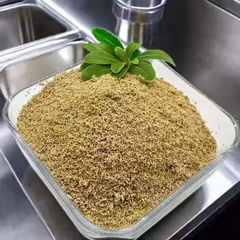 Як Chlorhydrate de Betaine падзешчырае спартыўную перамогу і аднаўленне.