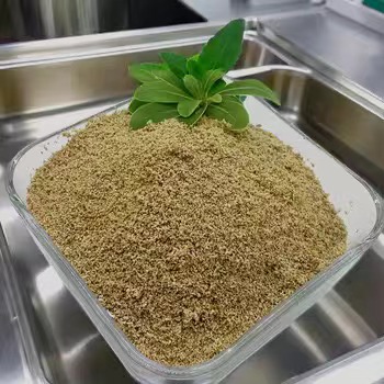 Betaine HCL Kekuatan Maksimum untuk Penyerapan Nutrisi yang Lebih Baik
