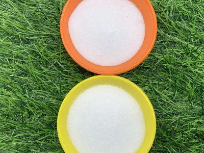 Why Aspartame Remains a Top Choice for Low-Calorie Protein Shakes