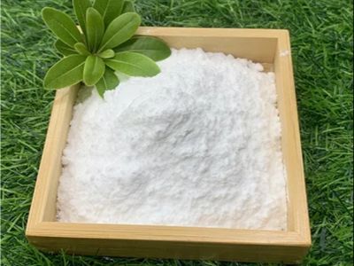 Crospovidone Bulk Orders: Pharma Excipient Wholesale