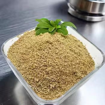 Betaine HCL, Magazit Tedavi Planınız İçin Uygun mu?
