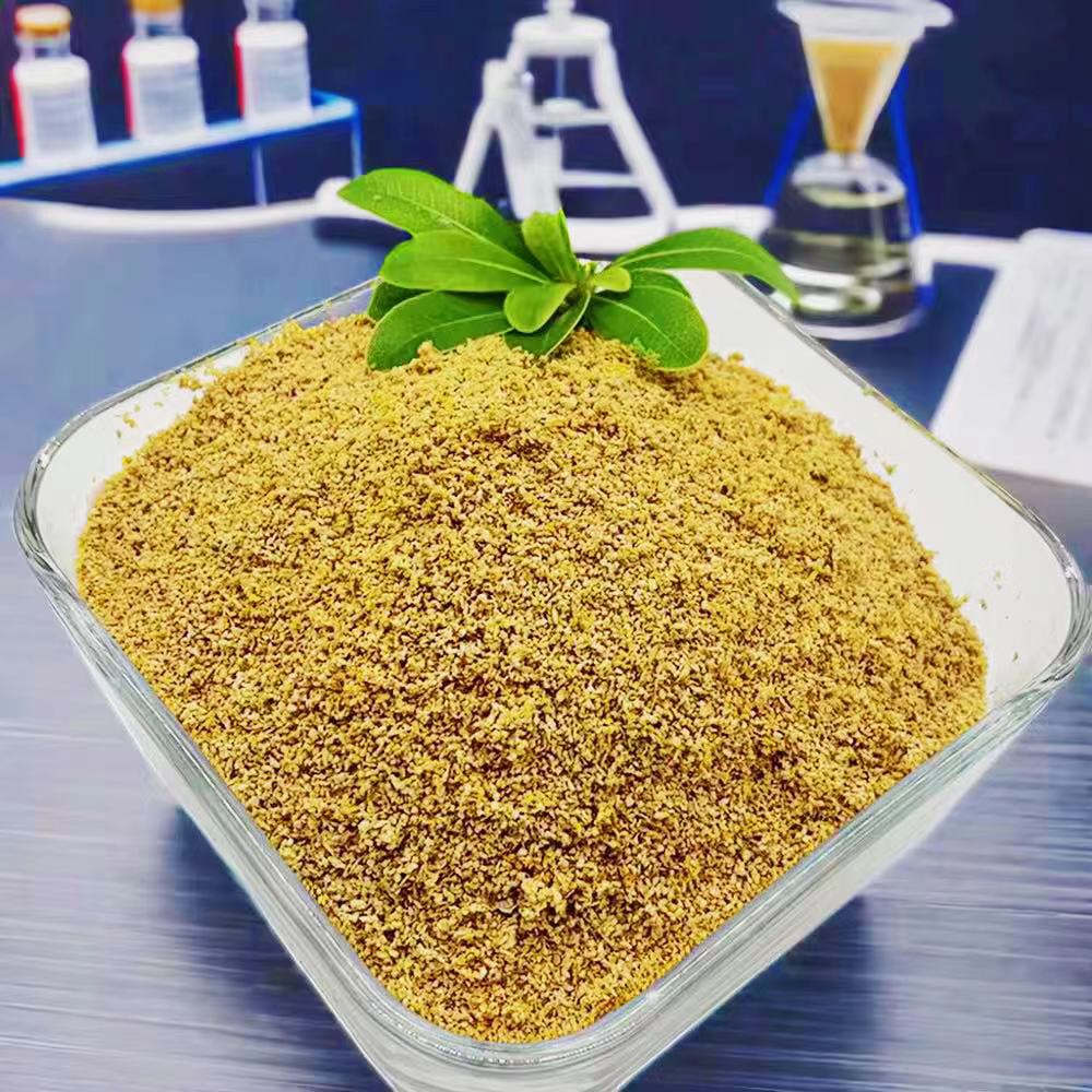 Antasid Alami Betaine HCL