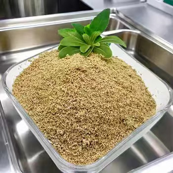 ทำไมเบทาอีน HCL 650mg จึงเป็นทางออกธรรมชาติสำหรับความไม่สบายในการย่อยอาหาร