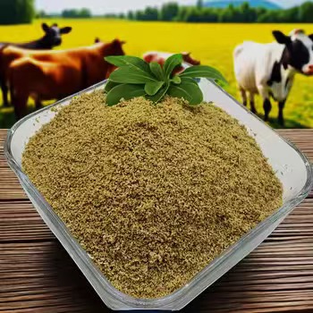 कैंडिडा लक्षणों को दूर करने के लिए एक प्राकृतिक समाधान