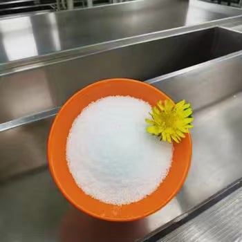Ang Susi sa Epektibong Metabolismo ng Karbohidrat