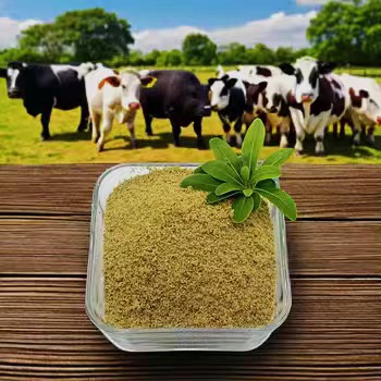 Kämpa mot leverskada och stödja leverfunktion med Betaine Plus.